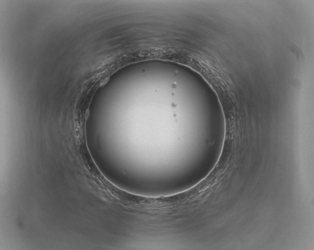 X0000116481109200912091354