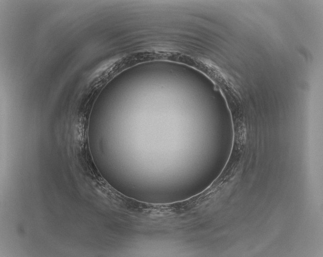 X0000116481110200912091354