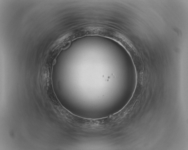 X0000116481111200912091354