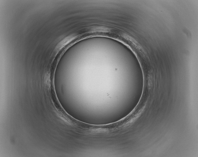 X0000116481113200912091354