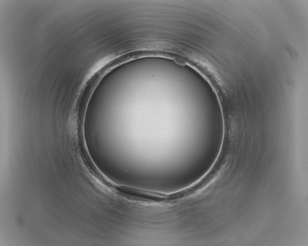 X0000116481114200912091354