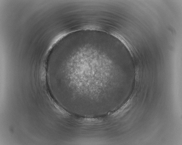 X0000116481115200912091354