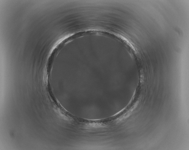 X0000116481117200912091354