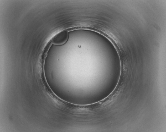 X0000116481119200912091354