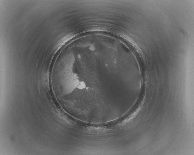 X0000116481121200912091354