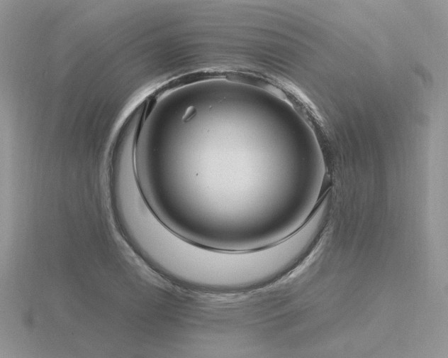 X0000116481122200912091354