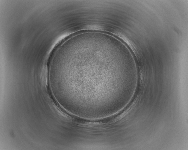 X0000116481123200912091354