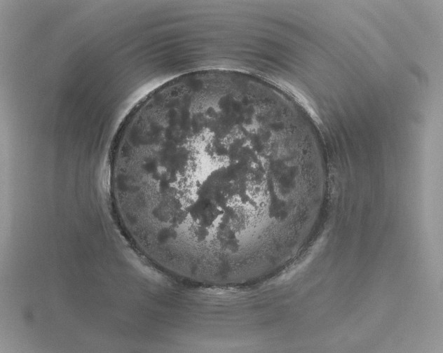 X0000116481125200912091354