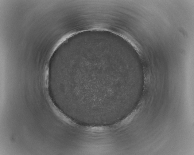 X0000116481126200912091354