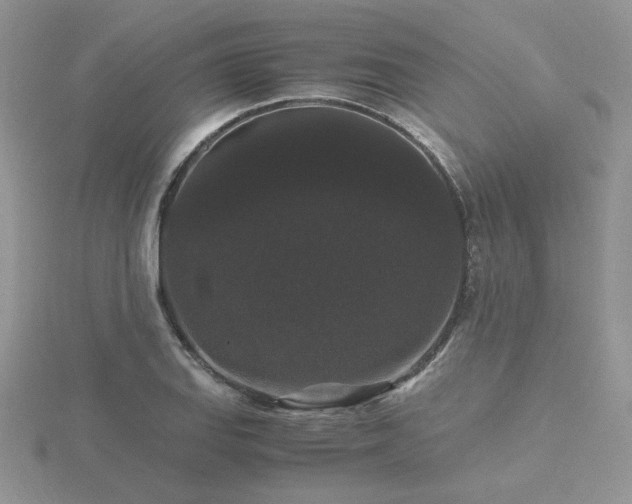 X0000116481127200912091354