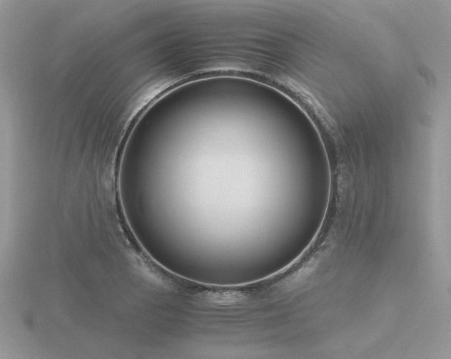 X0000116481129200912091354