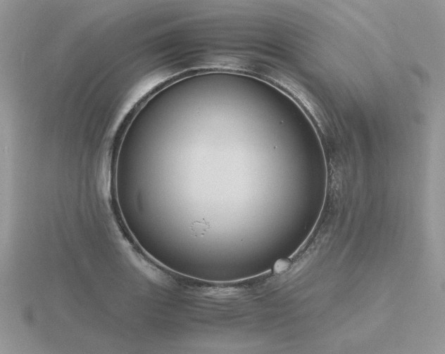 X0000116481131200912091355