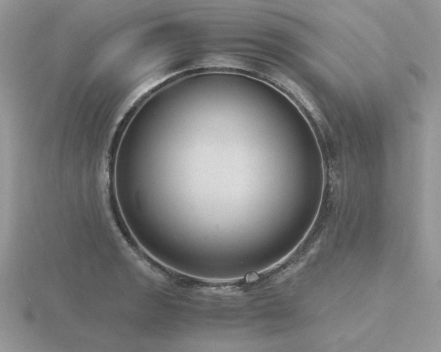 X0000116481133200912091355