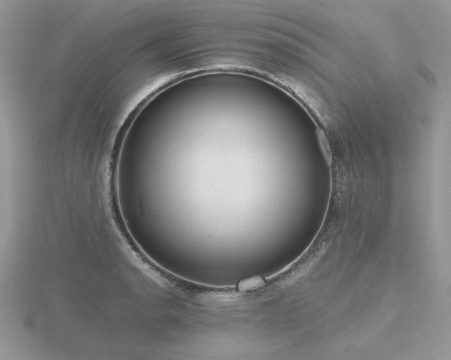 X0000116481134200912091355