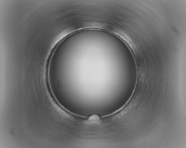 X0000116481135200912091355