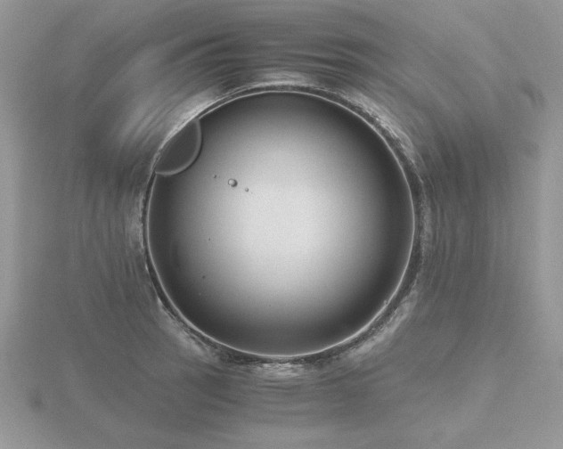 X0000116481137200912091355