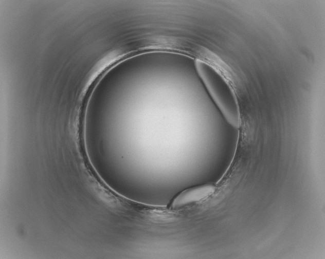 X0000116481138200912091355