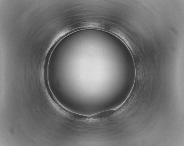 X0000116481139200912091355