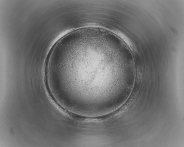 X0000116481142200912091355