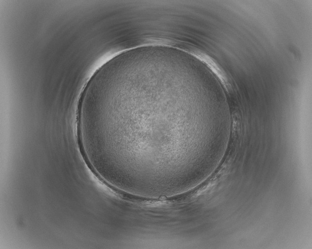 X0000116481143200912091355