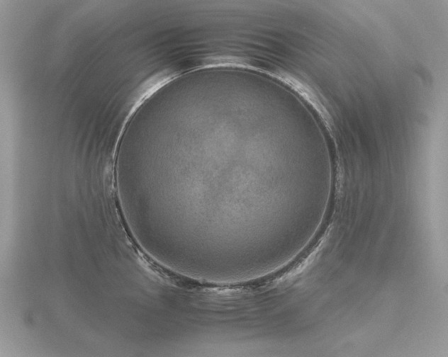 X0000116481145200912091355