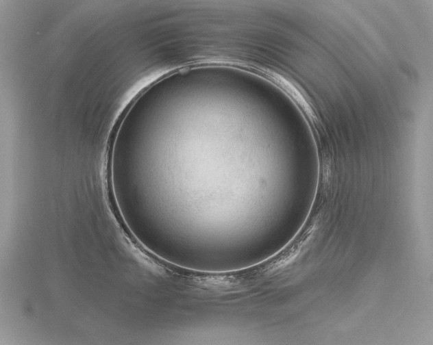 X0000116481149200912091355