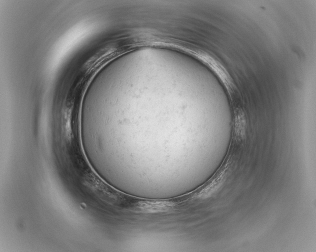 X0000116481150200912091355