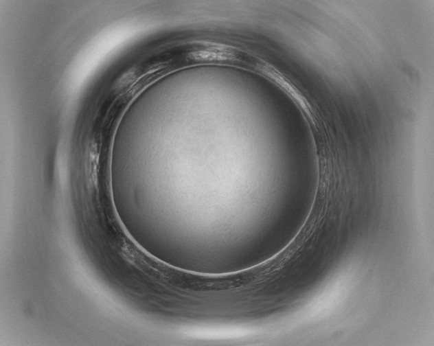 X0000116481151200912091355