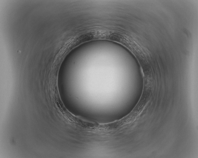 X0000116481153200912091354