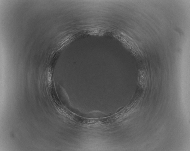 X0000116481154200912091354