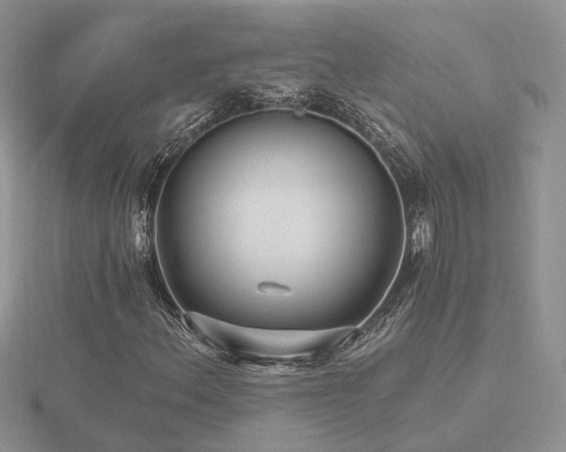 X0000116481156200912091354