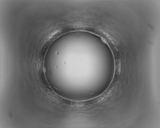 X0000116481157200912091354