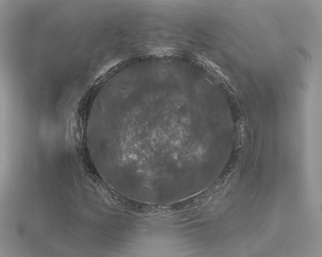 X0000116481158200912091354