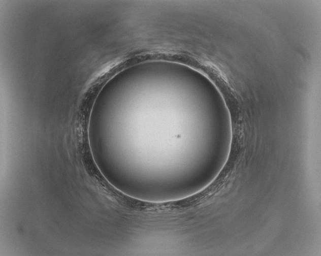 X0000116481159200912091354