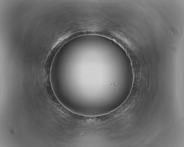 X0000116481160200912091354