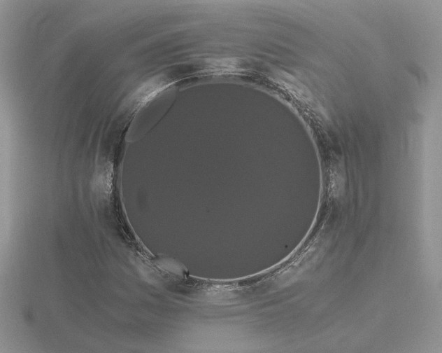 X0000116481161200912091354