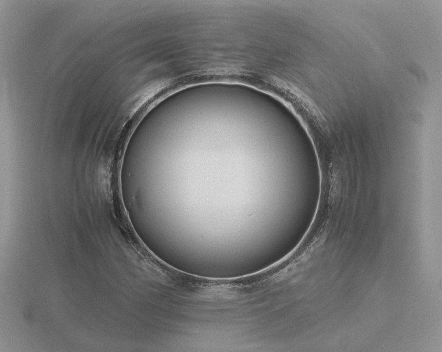 X0000116481162200912091354