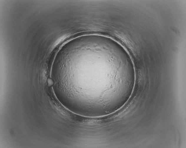 X0000116481163200912091354