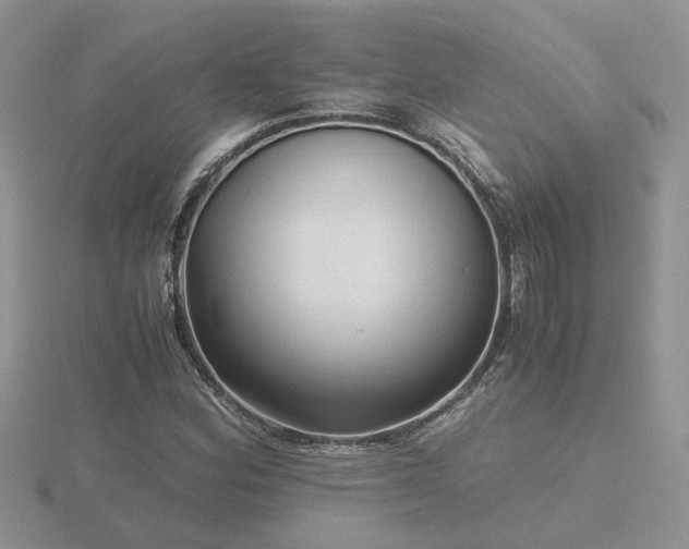 X0000116481164200912091354