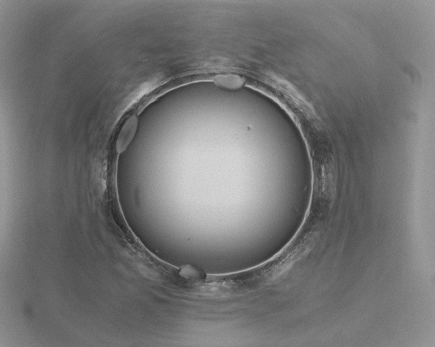 X0000116481165200912091354