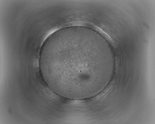 X0000116481166200912091354