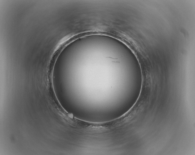 X0000116481168200912091354