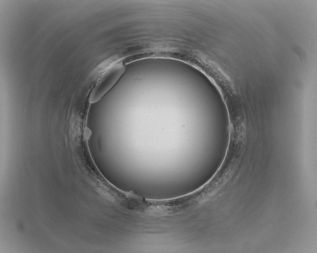 X0000116481169200912091354