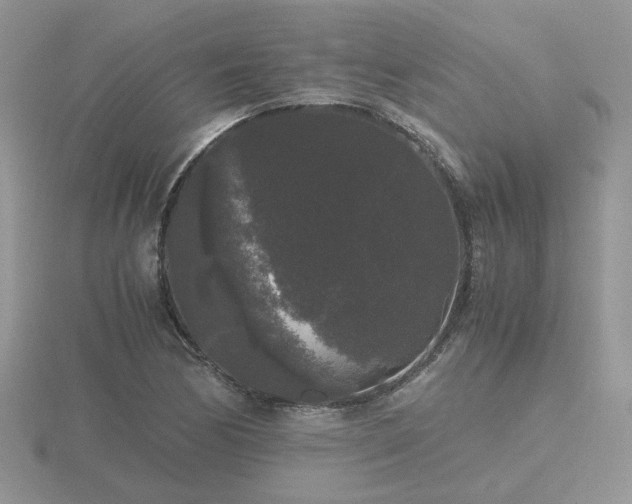 X0000116481170200912091354