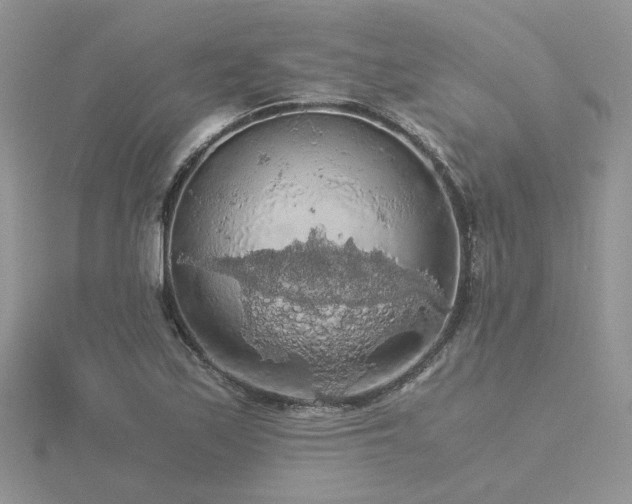 X0000116481171200912091354