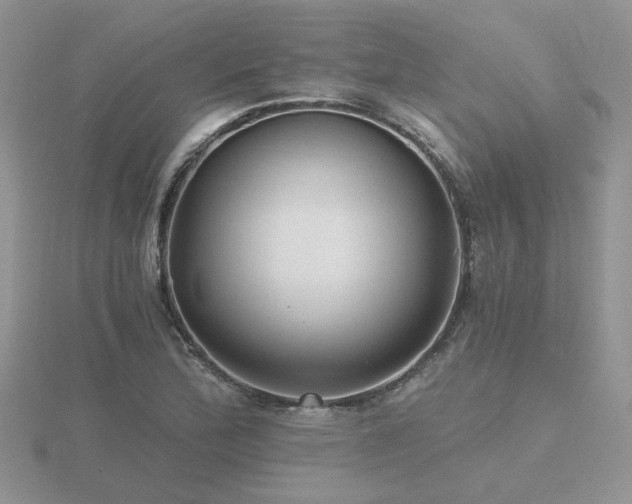 X0000116481172200912091354