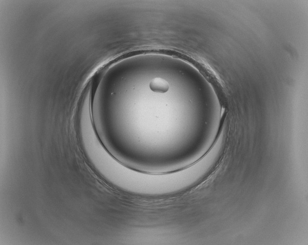 X0000116481173200912091354