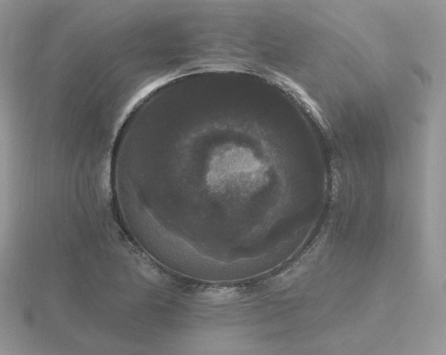 X0000116481174200912091354