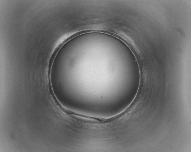 X0000116481176200912091354