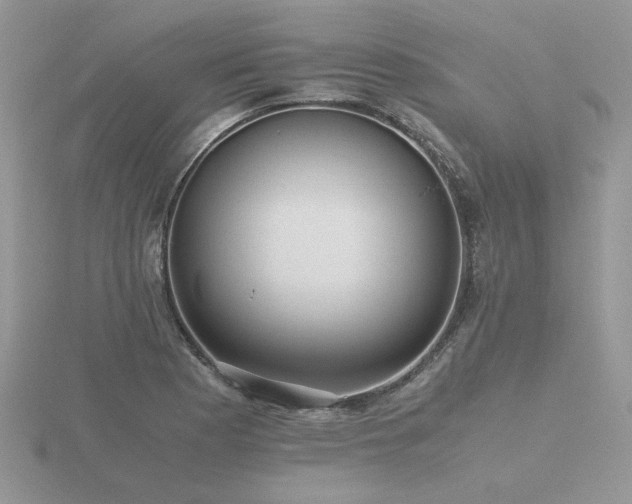 X0000116481177200912091354